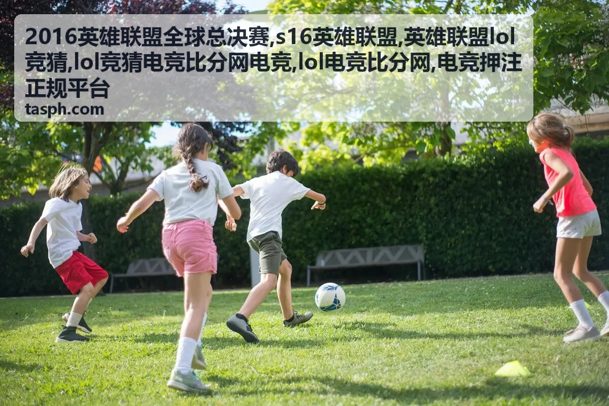 电竞押注正规平台说明封面图